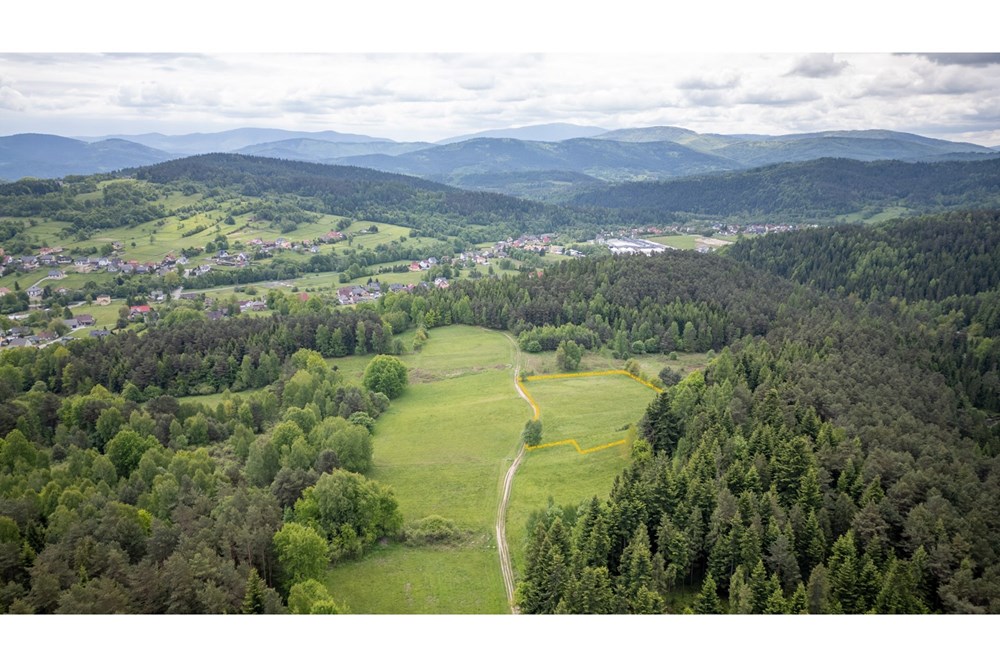 Działka - Sprzedaż - Krzeszów, Polska - Działka 160.000 2.jpg - 470131112-4