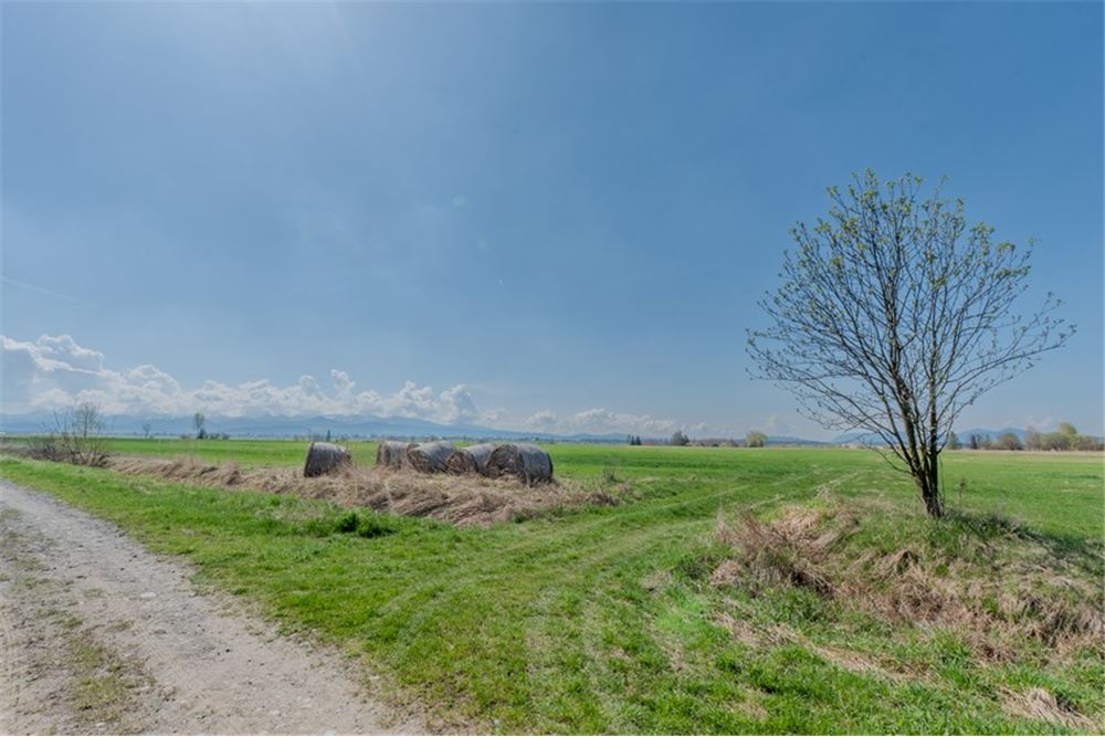 Nieruchomość gruntowa - Sprzedaż - Jabłonka, Polska - 9 - 470131089-56