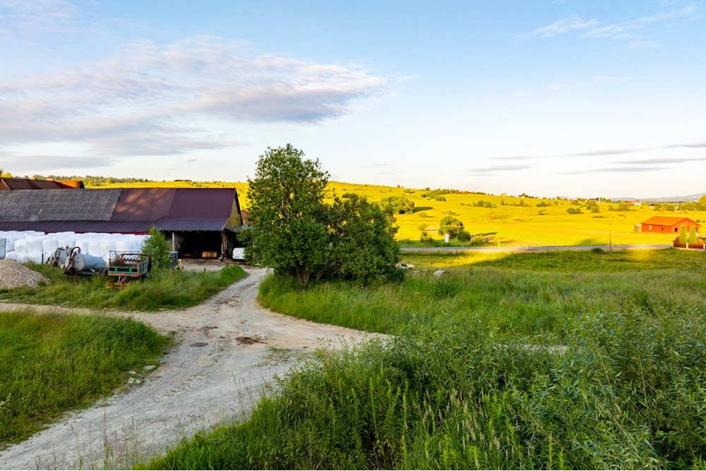 Działka budowlana - Sprzedaż - Pieniążkowice, Polska - DJI_0577-HDR-25.jpg - 800091045-36