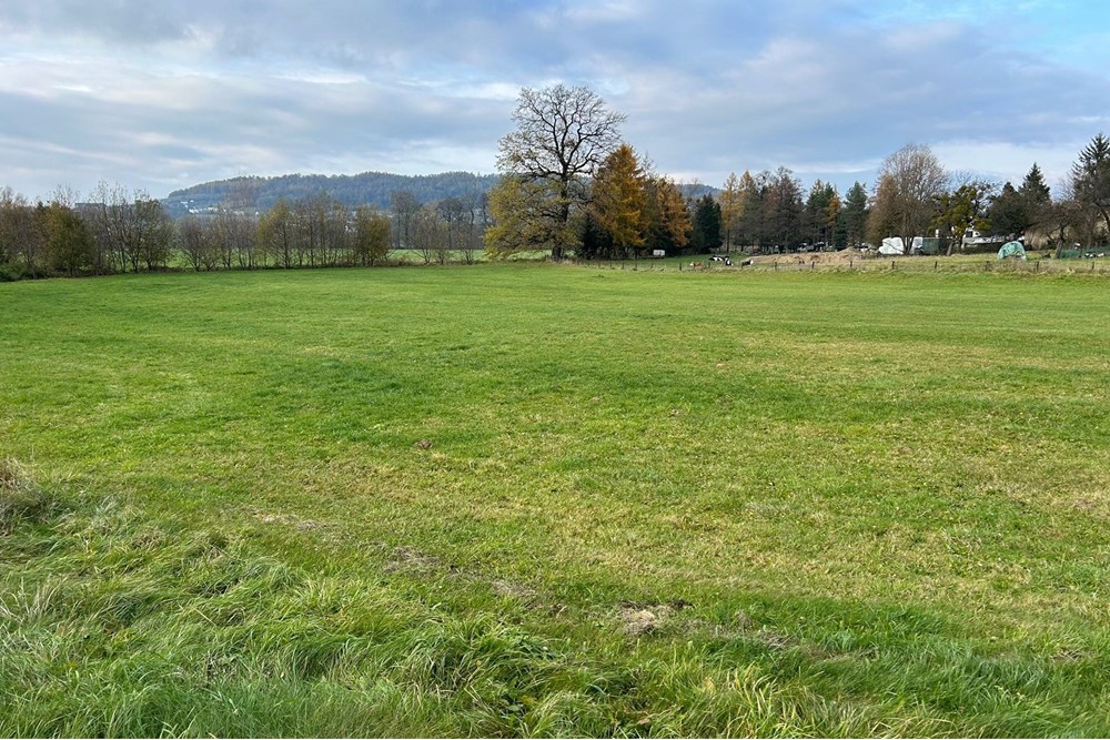 Działka budowlana - Sprzedaż - Kozakowice Górne, Polska - 1000047722.jpg - 800061030-128