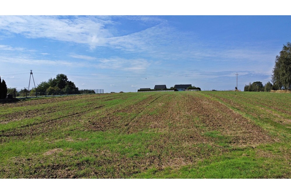 Działka budowlana - Sprzedaż - Frydrychowice, Polska - 9.jpg - 800061039-519