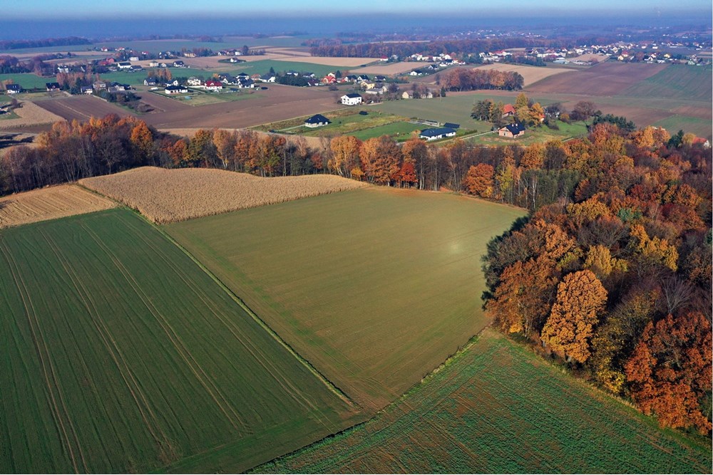 Działka - Sprzedaż - Witkowice, Polska - 25.JPG - 470131110-4