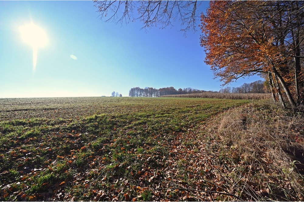 Działka - Sprzedaż - Witkowice, Polska - 32.JPG - 470131110-4