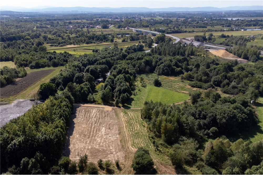 Działka - Sprzedaż - Jankowice, Polska - 44 - 800061103-174