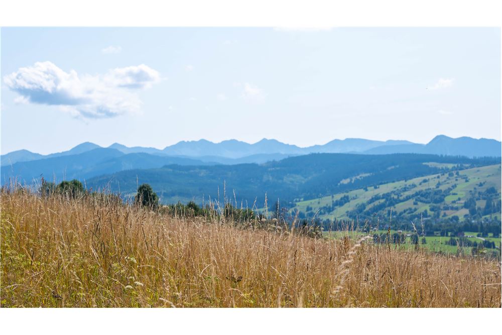 Nieruchomość gruntowa - Sprzedaż - Dzianisz, Polska - 32 - 800061116-23