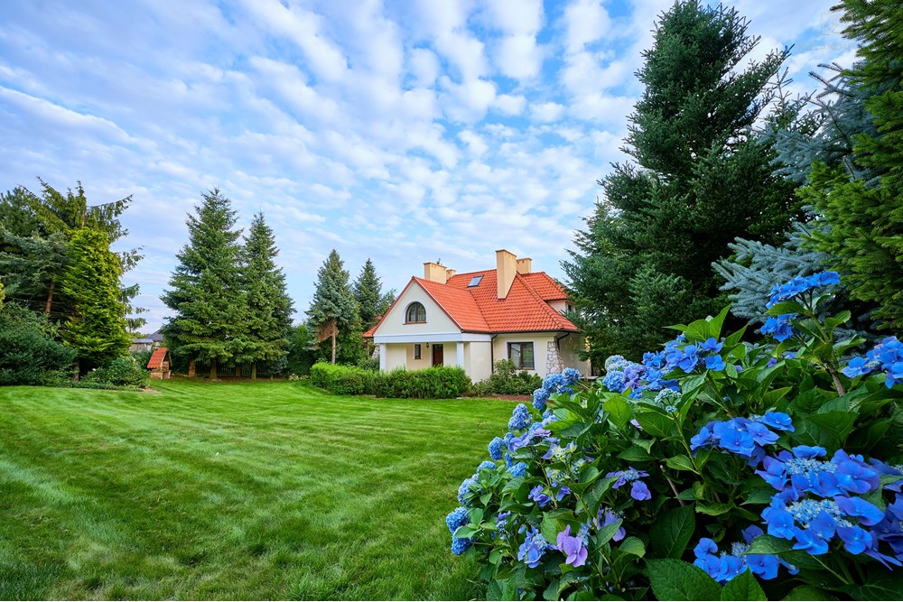 Rezydencja/Willa/Dworek - Sprzedaż - Zadroże, Polska - 11.jpg - 800271025-8