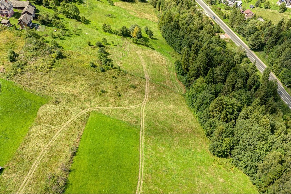 Działka - Sprzedaż - Krośnica, Polska - 0024_pajerski-dzialka-krosnica.jpg - 470131113-349