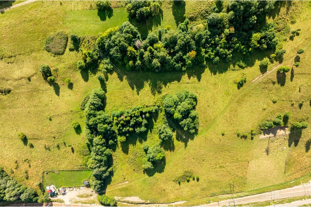 Działka - Sprzedaż - Zakopane, Polska - Biuro nieruchomości Artur (1).jpg - 800091026-83