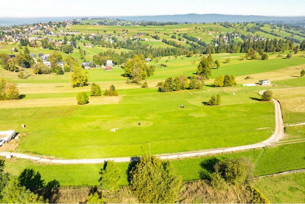 Działka budowlana - Sprzedaż - Ząb, Polska - 20251004-DJI_0860-HDR.jpg - 470151035-148