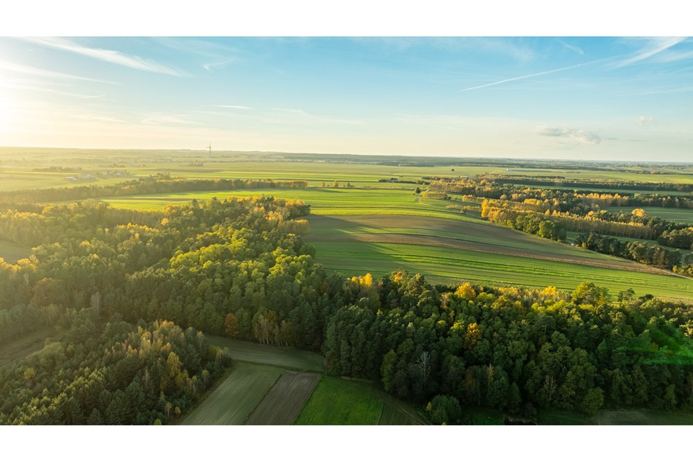 Dom wolnostojący - Sprzedaż - Toporów, Polska - 1 (27).jpg - 810251052-72