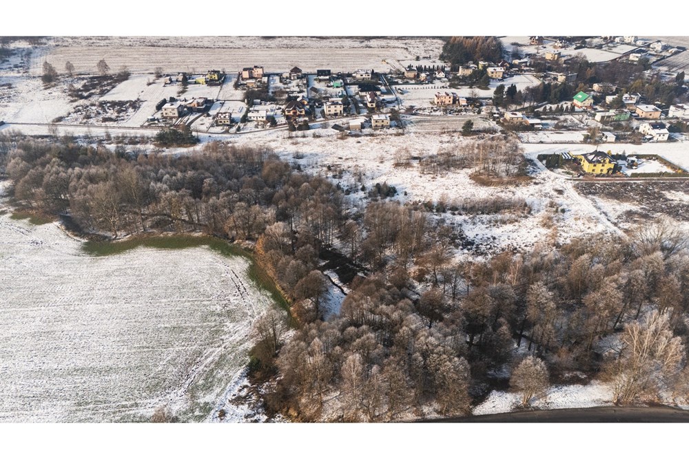 Działka - Sprzedaż - Czerwionka-Leszczyny, Polska - DJI_20251129113843_0728_D.jpg - 800061076-455