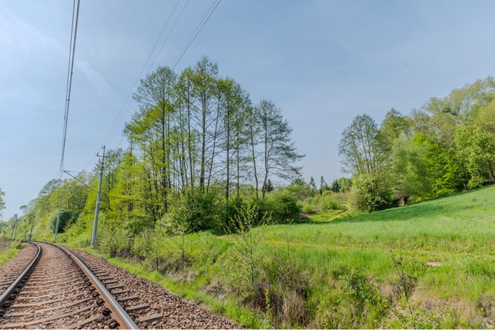 Działka - Sprzedaż - Barwałd Średni, Polska - BARWAŁD ŚREDNI_18.JPG - 470131106-29