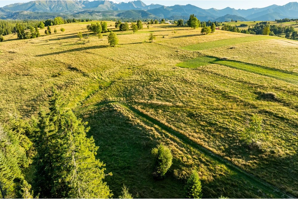 Działka - Sprzedaż - Zakopane, Polska - 20250826-DJI_0124-HDR.jpg - 470151024-450