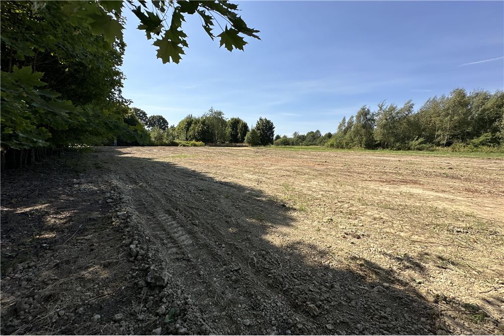 Działka - Sprzedaż - Jankowice, Polska - 32 - 800061103-174