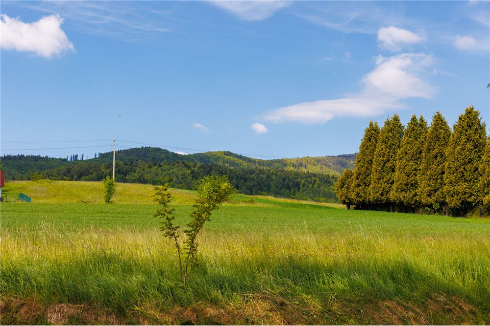 Działka budowlana - Sprzedaż - Lipowa, Polska - 10 - 800061107-97