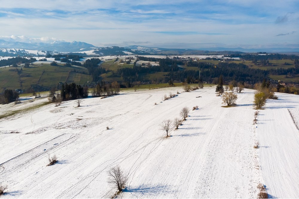 Działka - Sprzedaż - Ratułów, Polska - DJI_0393.jpg - 470151035-149