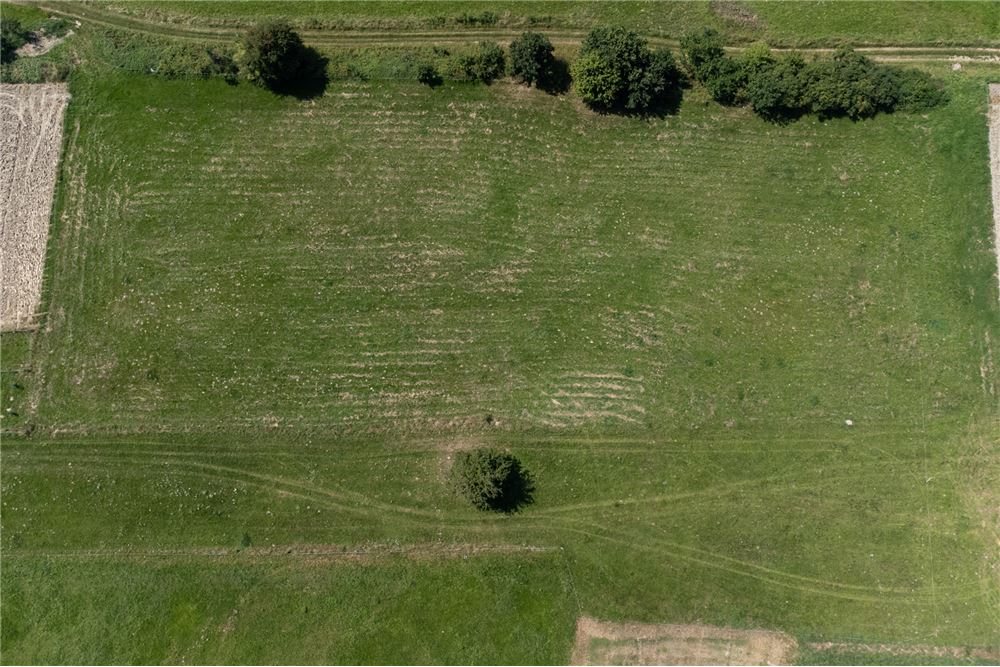 Działka budowlana - Sprzedaż - Młynne, Polska - 22 - 800061103-178