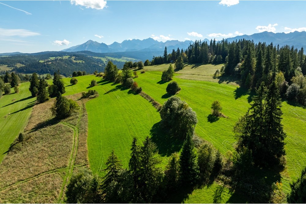 Nieruchomość gruntowa - Sprzedaż - Poronin, Polska - 20250922-DJI_0909-HDR.jpg - 470151039-63