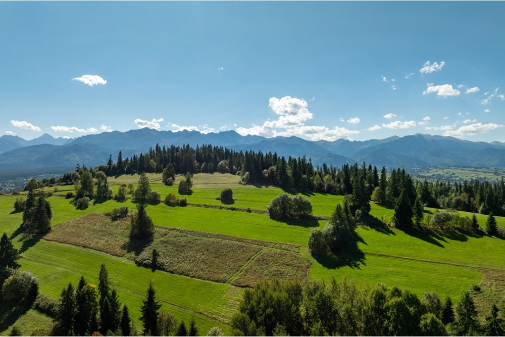 Nieruchomość gruntowa - Sprzedaż - Poronin, Polska - 20250922-DJI_0906-HDR.jpg - 470151039-63