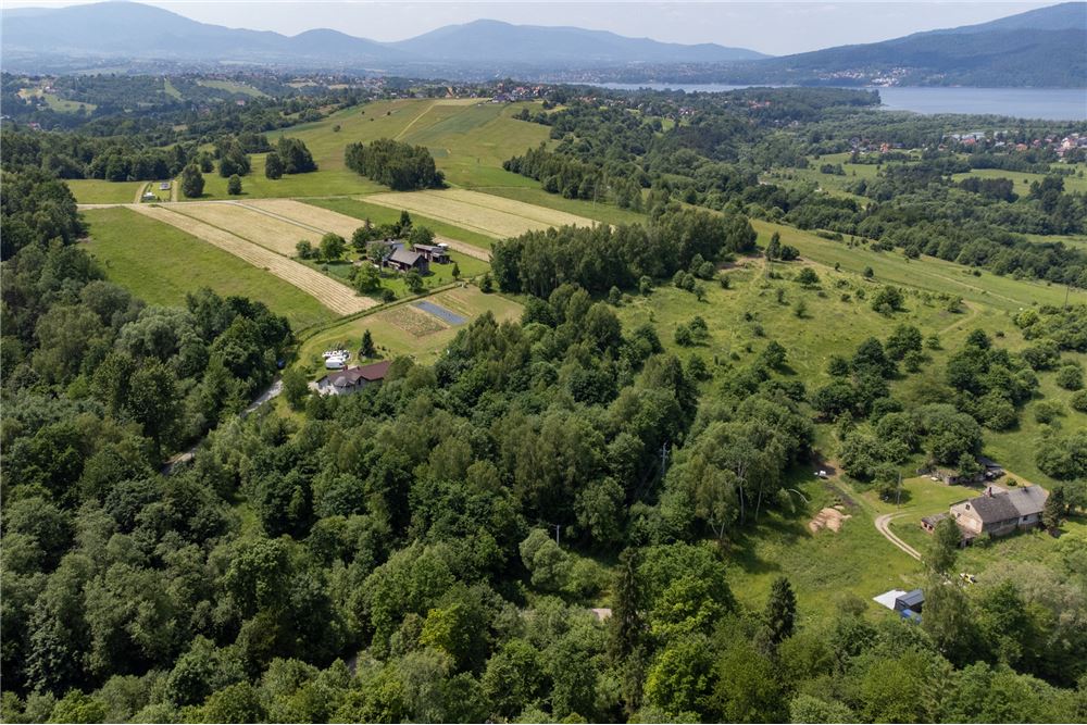 Działka budowlana - Sprzedaż - Rychwałd, Polska - 61 - 800061103-169