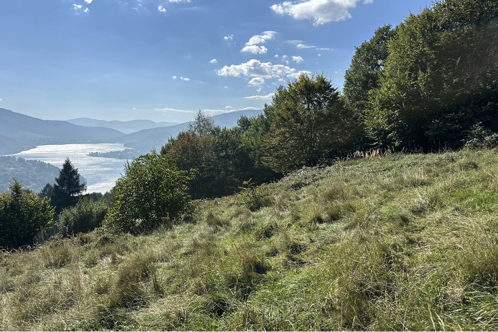 Działka budowlana - Sprzedaż - Międzybrodzie Bialskie, Polska - IMG_1824.jpg - 800061103-193