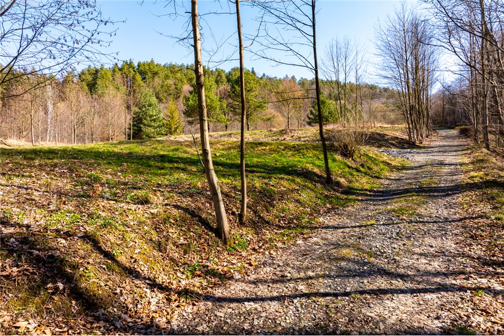 Działka budowlana - Sprzedaż - Stróża, Polska - 4 - 470151035-131