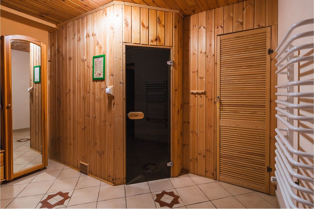 Sprzedaż firmy - Sprzedaż - Szczyrk, Polska - Hotel Szczyrk Damian-52.JPG - 800061126-16