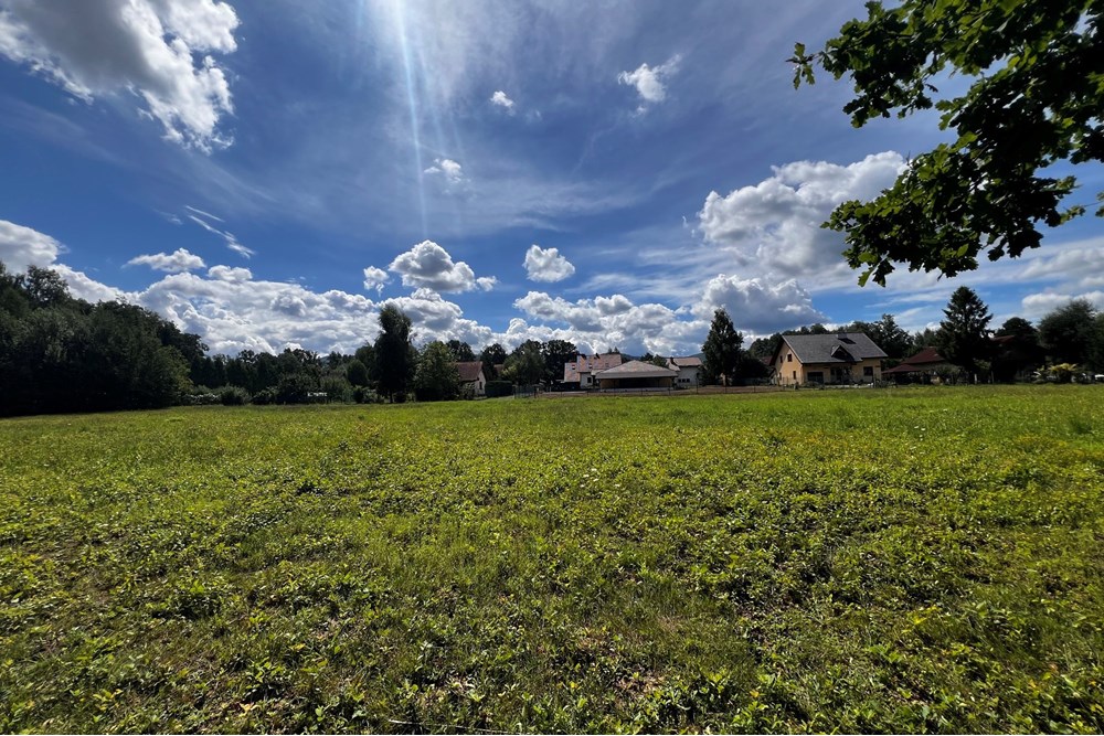 Działka budowlana - Sprzedaż - Jasienica, Polska - IMG_8098.jpeg - 800061117-35