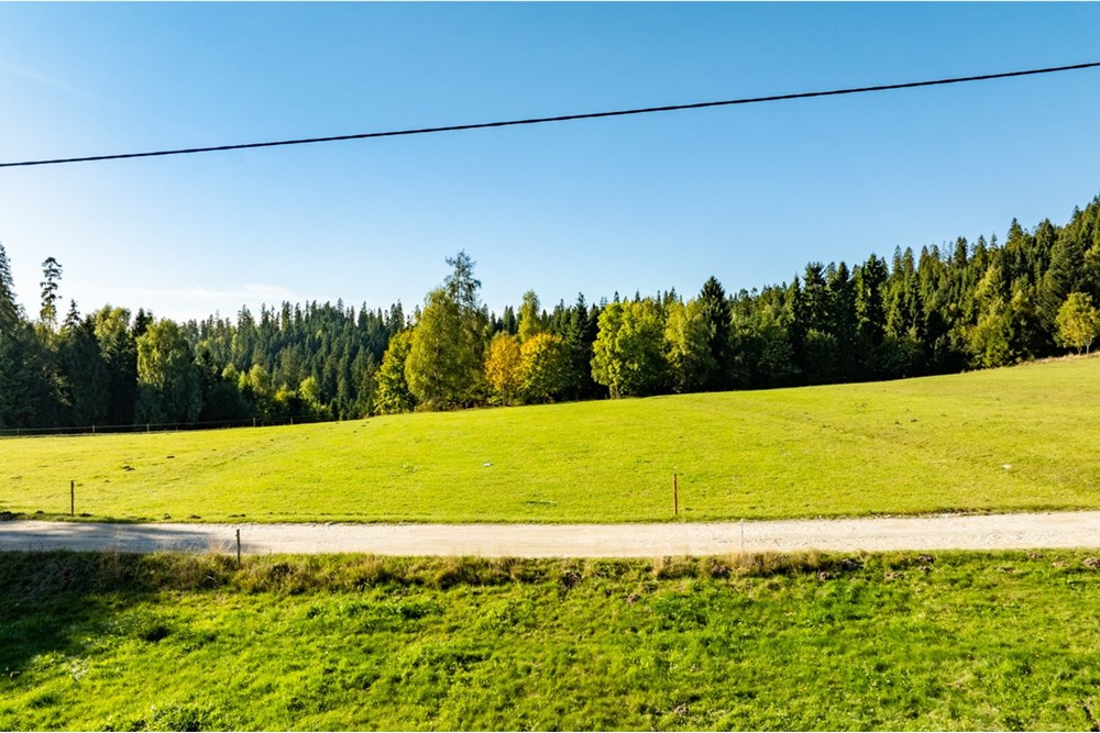 Działka budowlana - Sprzedaż - Nowy Targ, Polska - 20251004-DJI_0142-HDR.jpg - 800091040-99