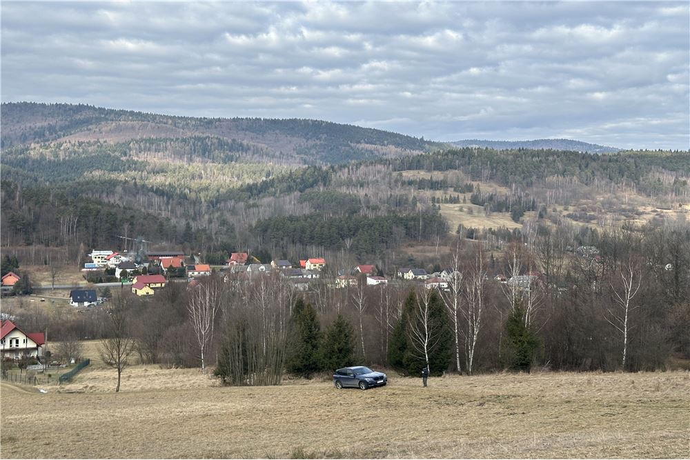 Działka budowlana - Sprzedaż - Las, Polska - 41 - 800061103-198
