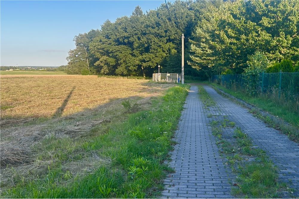 Działka budowlana - Sprzedaż - Rybnik, Polska - 9 - 800061090-241