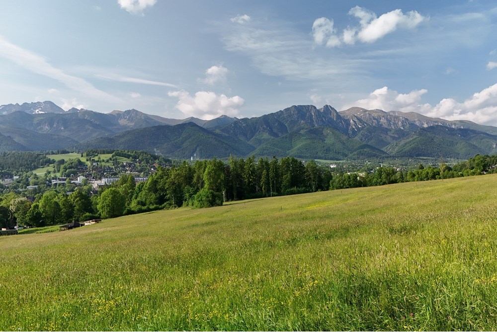 Nieruchomość gruntowa - Sprzedaż - Zakopane, Polska - DJI_20250607080726_0947_D.JPG - 800091054-33