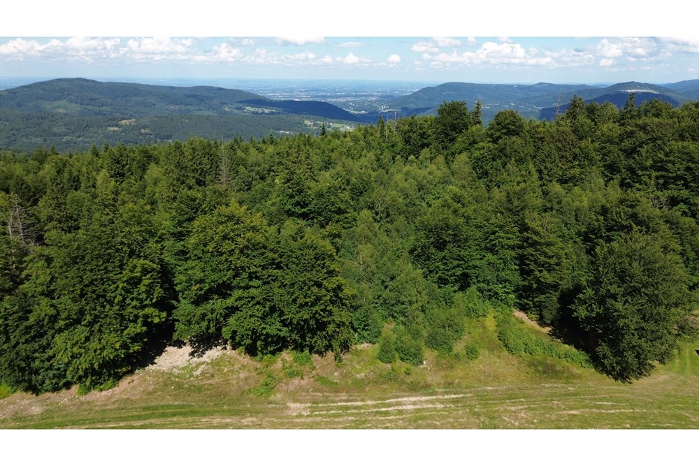 Działka - Sprzedaż - Wilkowice, Polska - DJI_0048.JPG - 800061116-26