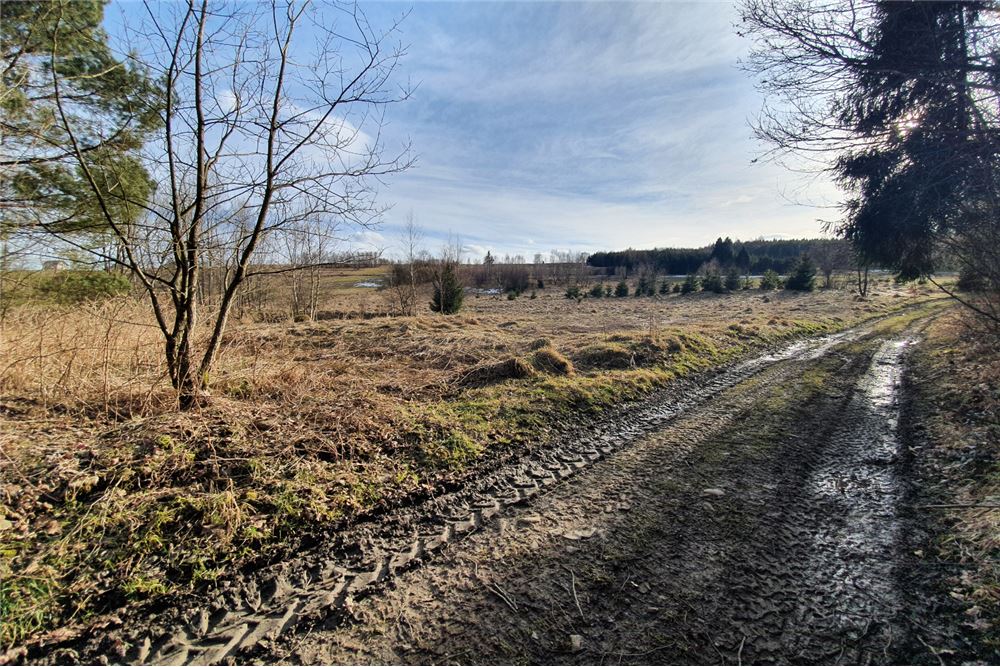 Działka budowlana - Sprzedaż - Bystra, Polska - 3 - 800091026-75