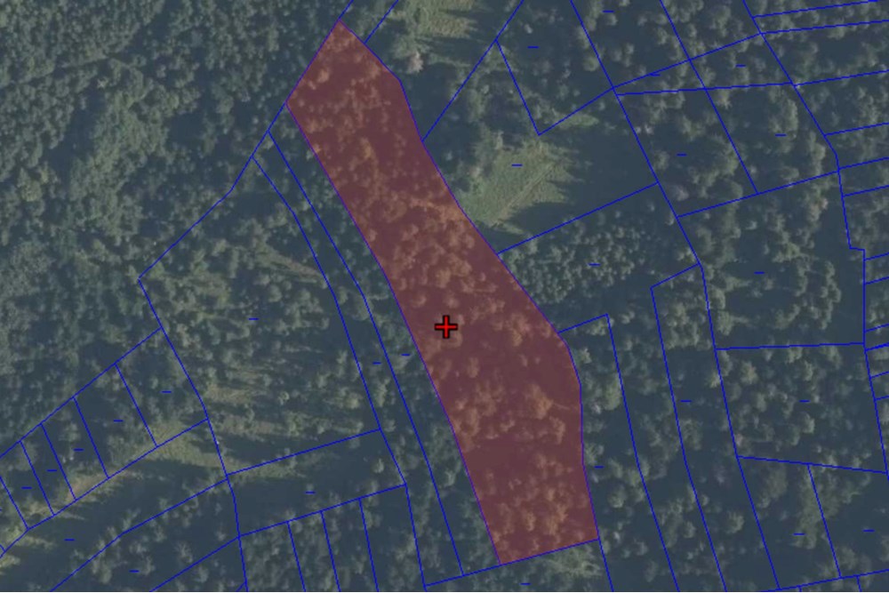 Działka - Sprzedaż - Podwilk, Polska - 1.jpg - 800091045-39