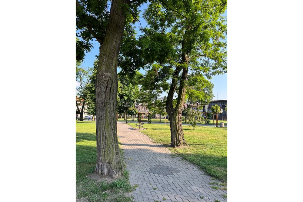 Nieruchomość inwestycyjna - Sprzedaż - Raciąż, Polska - Katarzyna Szulim_park.jpg - 810051044-18