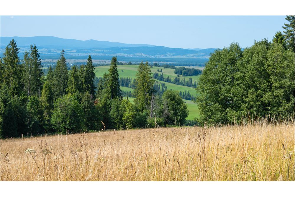 Nieruchomość gruntowa - Sprzedaż - Dzianisz, Polska - 43 - 800061116-23