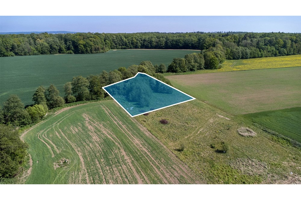 Działka budowlana - Sprzedaż - Mścice, Polska - 1_0001_10.jpg - 470281002-194