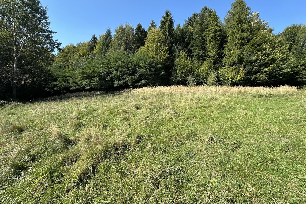 Działka budowlana - Sprzedaż - Międzybrodzie Bialskie, Polska - IMG_1825.jpg - 800061103-193