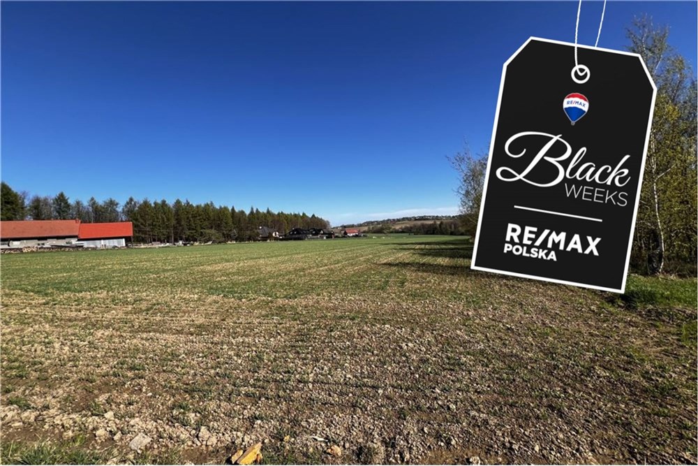 Działka - Sprzedaż - Pogórze, Polska - IMG_1215.jpeg - 800061117-26