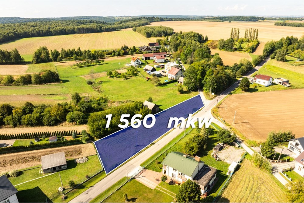 Działka - Sprzedaż - Smardzowice, Polska - 20250909-DJI_0169-HDR.jpg - 800241032-74