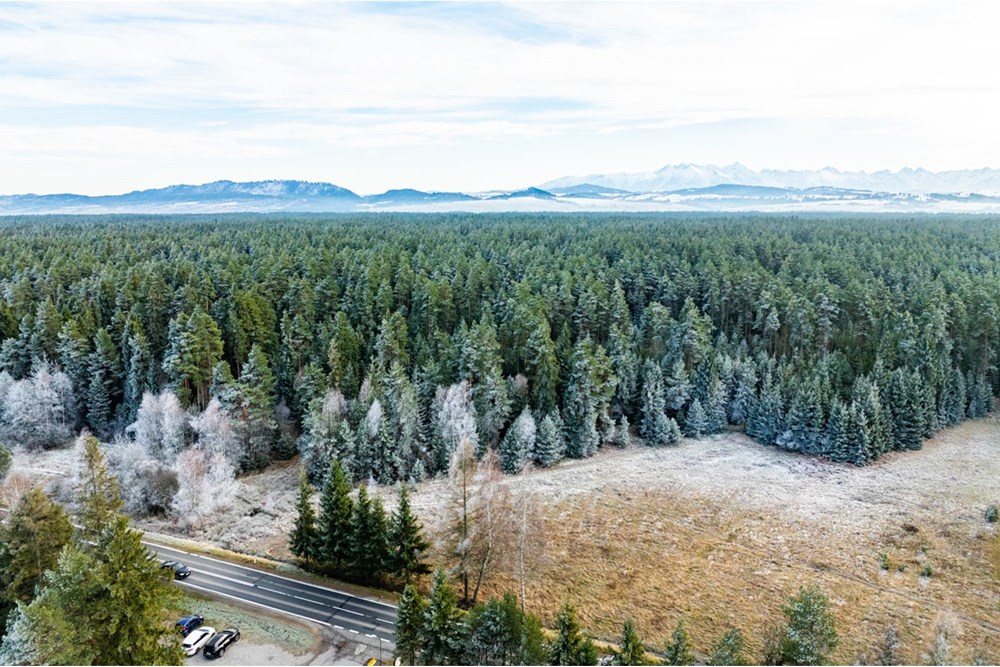 Działka - Sprzedaż - Harklowa, Polska - 20251119-DJI_0843-HDR.jpg - 470151024-463