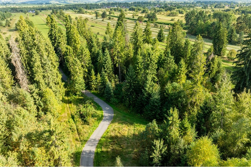 Nieruchomość gruntowa - Sprzedaż - Czarny Dunajec, Polska - 20250828-DJI_0229-HDR.jpg - 470151039-62
