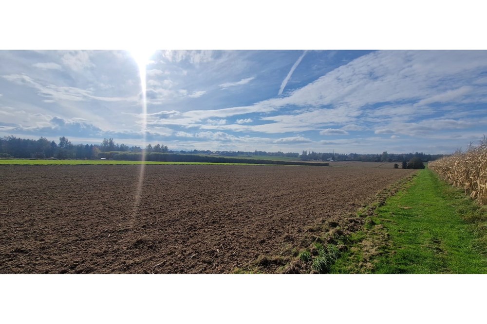 Działka - Sprzedaż - Pruchna, Polska - WhatsApp Image 2025-10-23 at 11.59.45 (7).jpeg - 470131058-381