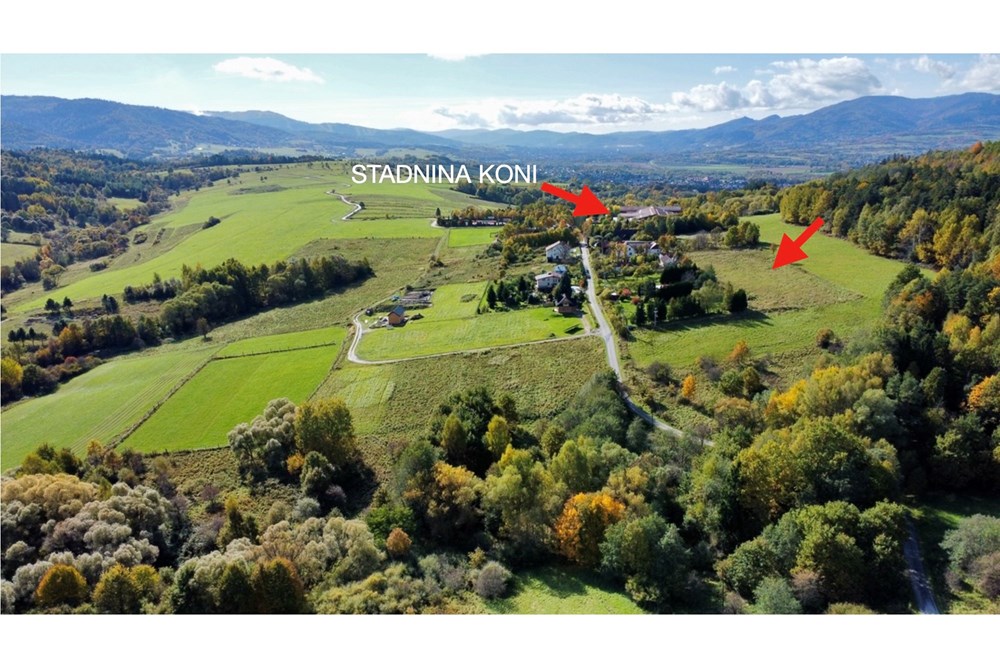 Działka budowlana - Sprzedaż - Żywiec, Polska - Zrzut ekranu 2025-10-16 o 11.43.32.jpg - 800061098-177