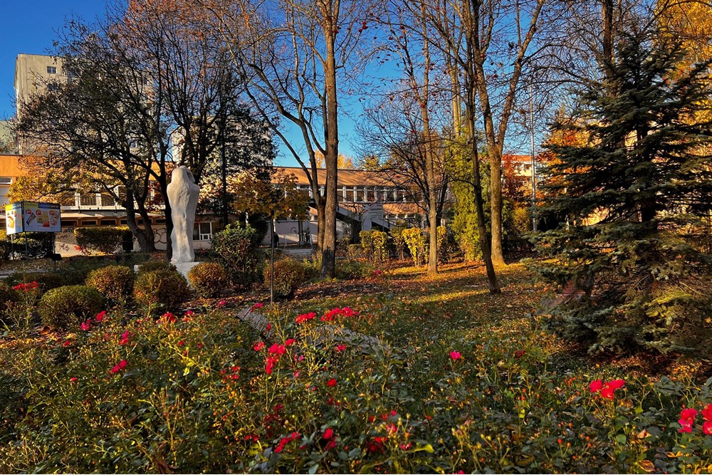 Mieszkanie - Sprzedaż - Bielsko-Biała, Polska - IMG_8792.jpeg - 800061117-38