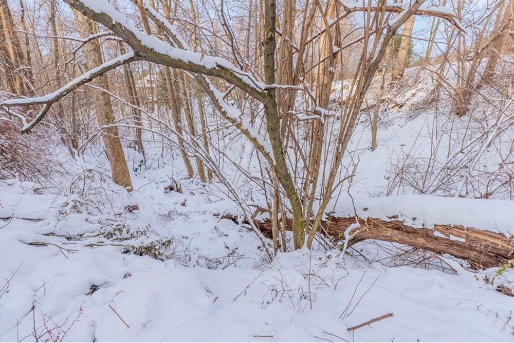 Działka budowlana - Sprzedaż - Bielsko-Biała, Polska - BIELSKO DZIAŁKA NARCIARSKA_21.jpg - 470131102-20