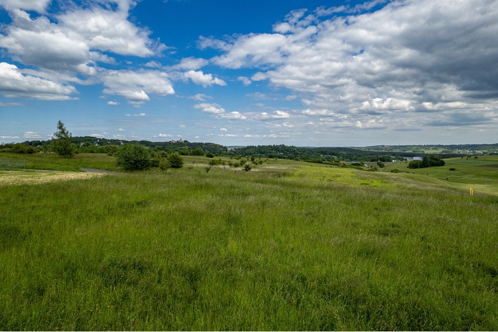 Działka budowlana - Sprzedaż - Grojec, Polska - Foto_019.jpg - 800271025-11