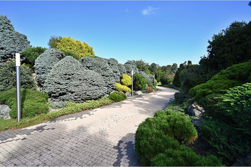 Rezydencja/Willa/Dworek - Sprzedaż - Janowice, Polska - 31.JPG - 470131040-436