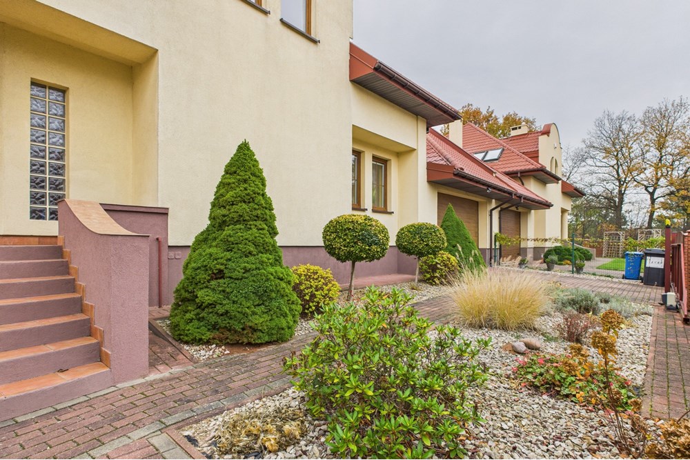 Dom wolnostojący - Sprzedaż - Skierdy, Polska - CAM04724G0-PR0041-STILL039.jpg - 470391001-39